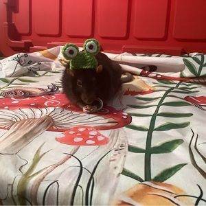 Unlisted Live Show Item